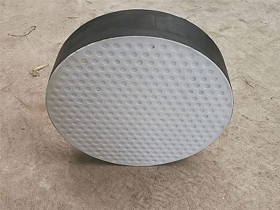 恩阳区四氟板式橡胶支座易于更换缓冲隔震